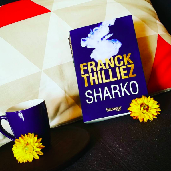 Sharko - Franck Thilliez 