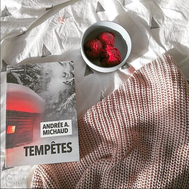 Tempêtes - Andrée A. Michaud