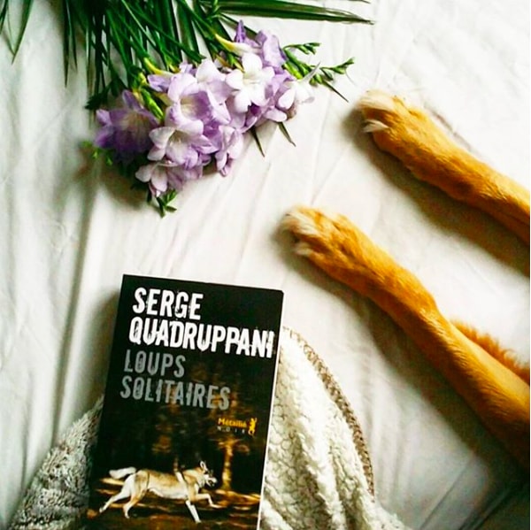 Loups Solitaires - Serge Quadruppani